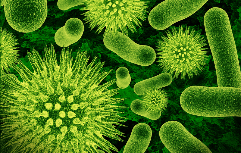 image of various bacteria species